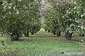 VBS_7607 - Andare lontano, oltre i campi da arare... e ancora più in là